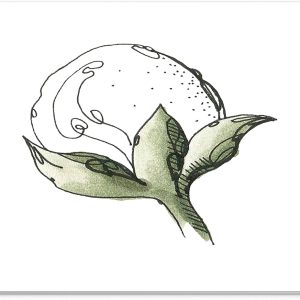 Mouse Pad Floare de Bumbac – Design Botanic Minimalist, Stil Schiță și Acuarelă, 22 x 18 cm